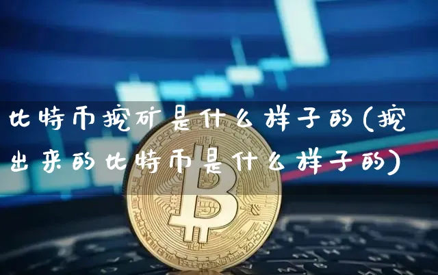 比特币挖矿是什么样子的(挖出来的比特币是什么样子的)_https://www.xjzxxn66.com_区块链_第1张
