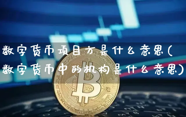 数字货币项目方是什么意思(数字货币中的机构是什么意思)_https://www.xjzxxn66.com_以太坊_第1张