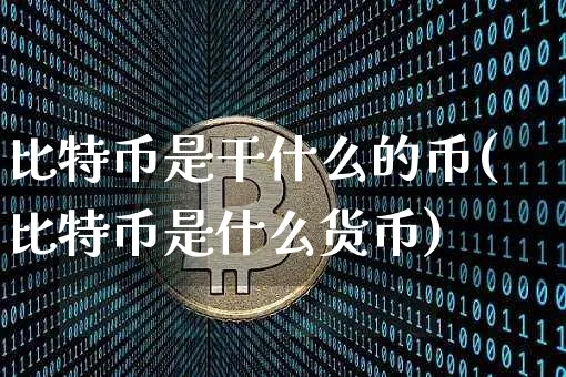 比特币是干什么的币(比特币是什么货币)_https://www.xjzxxn66.com_币圈资讯_第1张