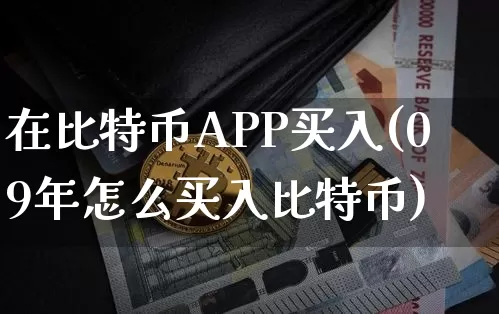 在比特币APP买入(09年怎么买入比特币)_https://www.xjzxxn66.com_比特币_第1张