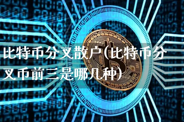 比特币分叉散户(比特币分叉币前三是哪几种)_https://www.xjzxxn66.com_币圈资讯_第1张