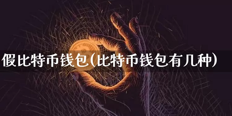 假比特币钱包(比特币钱包有几种)_https://www.xjzxxn66.com_币圈资讯_第1张