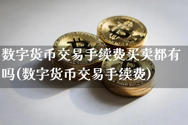 数字货币交易手续费买卖都有吗(数字货币交易手续费)_https://www.xjzxxn66.com_币圈资讯_第1张