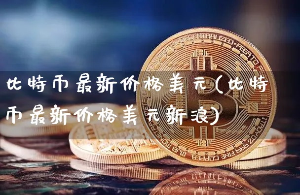 比特币最新价格美元(比特币最新价格美元新浪)_https://www.xjzxxn66.com_区块链_第1张