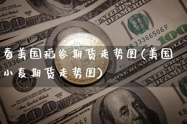 看美国稻谷期货走势图(美国小麦期货走势图)_区块链_第1张_相聚币圈 看美国稻谷期货走势图(美国小麦期货走势图)_https://www.xjzxxn66.com_区块链_第1张