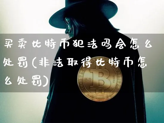 买特币吗会怎么处罚(取得比特币怎么处罚)_https://www.xjzxxn66.com_以太坊_第1张