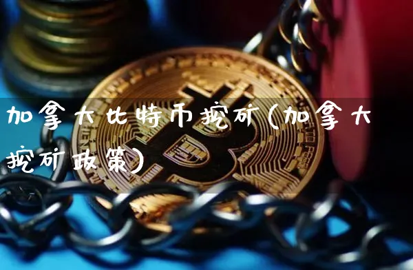 加拿大比特币挖矿(加拿大挖矿政策)_https://www.xjzxxn66.com_区块链_第1张
