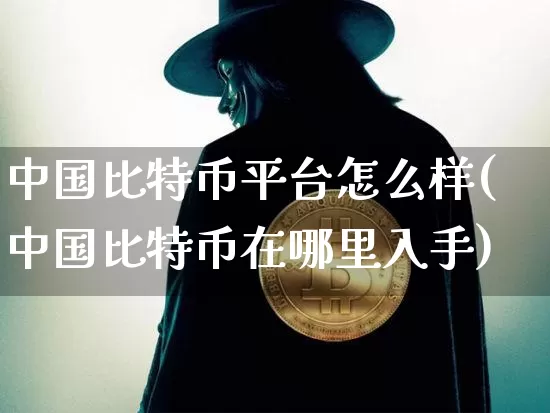 中国比特币平台怎么样(中国比特币在哪里入手)_https://www.xjzxxn66.com_币圈资讯_第1张