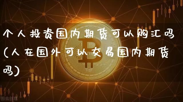个人投资国内期货可以购汇吗(人在国外可以交易国内期货吗)_https://www.xjzxxn66.com_区块链_第1张