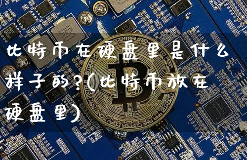 比特币在硬盘里是什么样子的?(比特币放在硬盘里)_https://www.xjzxxn66.com_以太坊_第1张