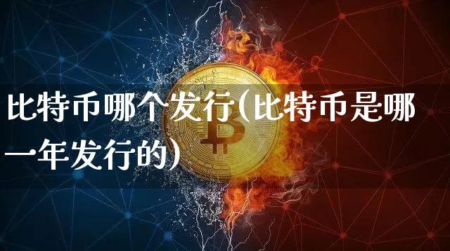 比特币哪个发行(比特币是哪一年发行的)_https://www.xjzxxn66.com_币圈资讯_第1张