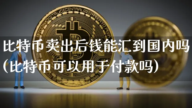 比特币卖出后钱能汇到国内吗(比特币可以用于付款吗)_https://www.xjzxxn66.com_以太坊_第1张