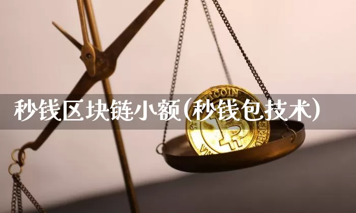 秒钱区块链小额(秒钱包技术)_https://www.xjzxxn66.com_币圈资讯_第1张