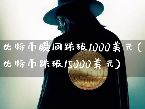比特币瞬间跌破1000美元(比特币跌破15000美元)_https://www.xjzxxn66.com_以太坊_第1张