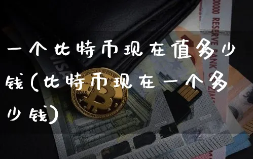 一个比特币现在值多少钱(比特币现在一个多少钱)_https://www.xjzxxn66.com_以太坊_第1张