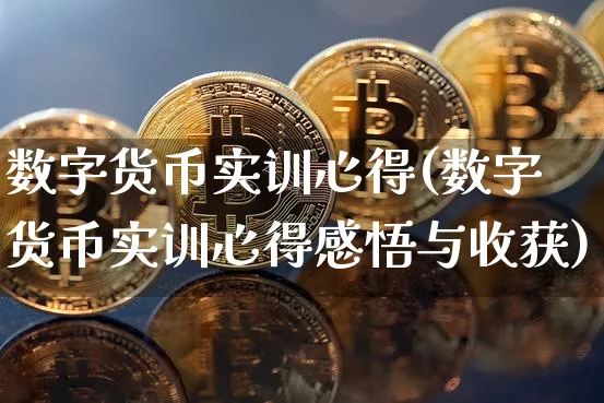 数字货币实训心得(数字货币实训心得感悟与收获)_https://www.xjzxxn66.com_以太坊_第1张