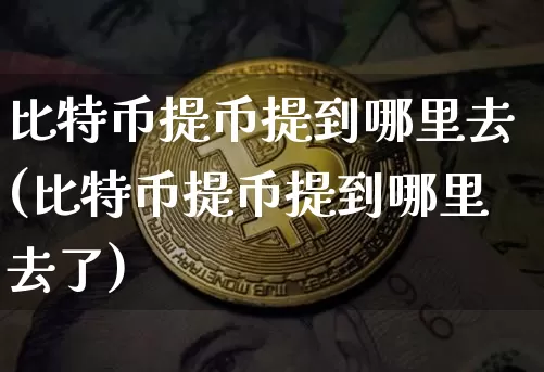 比特币提币提到哪里去(比特币提币提到哪里去了)_https://www.xjzxxn66.com_比特币_第1张