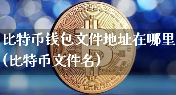 比特币钱包文件地址在哪里(比特币文件名)_https://www.xjzxxn66.com_区块链_第1张
