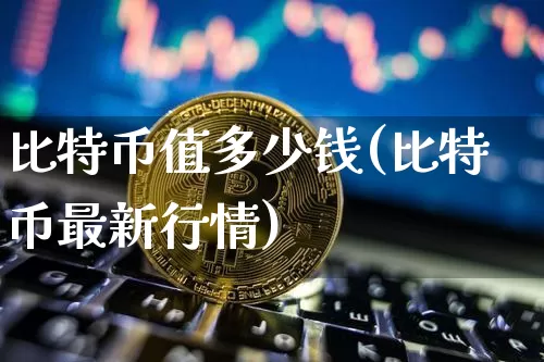 比特币值多少钱(比特币最新行情)_https://www.xjzxxn66.com_币圈资讯_第1张