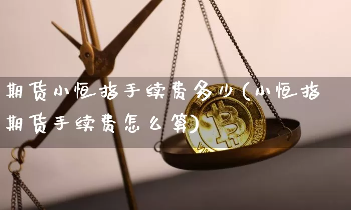 期货小恒指手续费多少(小恒指期货手续费怎么算)_https://www.xjzxxn66.com_比特币_第1张