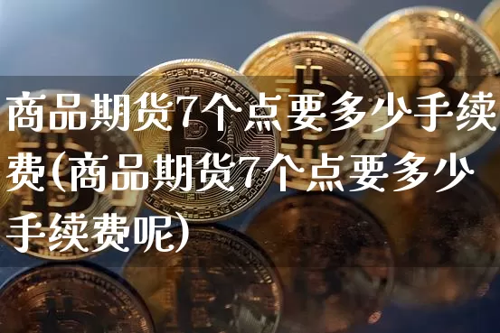 商品期货7个点要多少手续费(商品期货7个点要多少手续费呢)_https://www.xjzxxn66.com_未分类_第1张