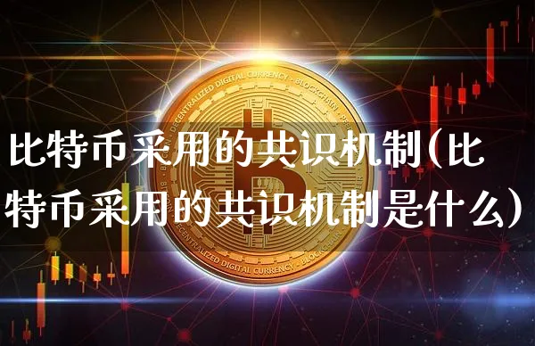 比特币采用的共识机制(比特币采用的共识机制是什么)_https://www.xjzxxn66.com_以太坊_第1张