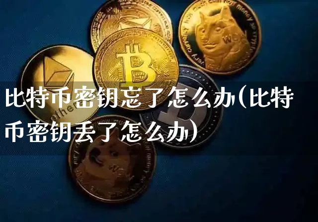 比特币密钥忘了怎么办(比特币密钥丢了怎么办)_https://www.xjzxxn66.com_区块链_第1张