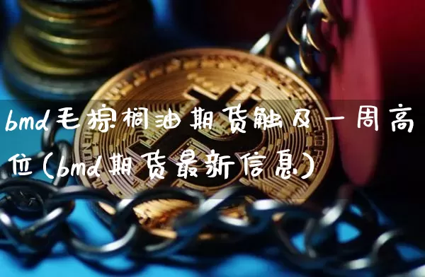 bmd毛棕榈油期货触及一周高位(bmd期货最新信息)_https://www.xjzxxn66.com_以太坊_第1张