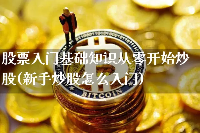 股票入门基础知识从零开始炒股(新手炒股怎么入门)_https://www.xjzxxn66.com_比特币_第1张