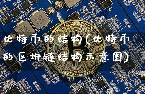 比特币的结构(比特币的区块链结构示意图)_https://www.xjzxxn66.com_以太坊_第1张