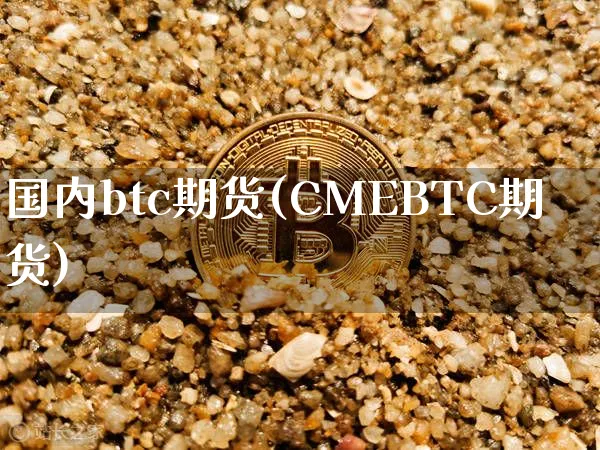 国内btc期货(CMEBTC期货)_https://www.xjzxxn66.com_币圈资讯_第1张