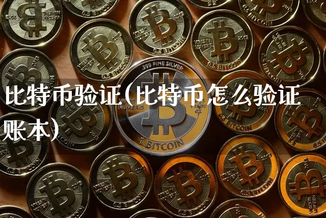 比特币验证(比特币怎么验证账本)_https://www.xjzxxn66.com_以太坊_第1张