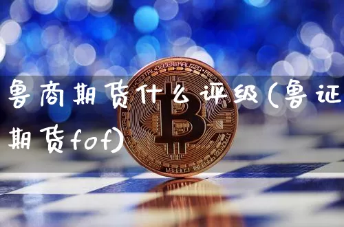鲁商期货什么评级(鲁证期货fof)_https://www.xjzxxn66.com_币圈资讯_第1张