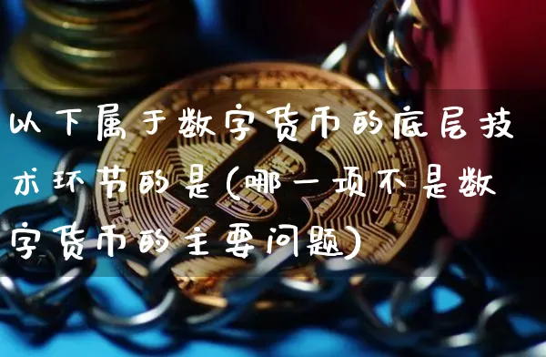 以下属于数字货币的底层技术环节的是(哪一项不是数字货币的主要问题)_https://www.xjzxxn66.com_币圈资讯_第1张