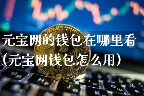 元宝网的钱包在哪里看(元宝网钱包怎么用)_https://www.xjzxxn66.com_以太坊_第1张