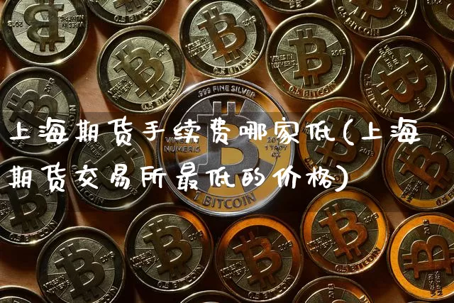 上海期货手续费哪家低(上海期货交易所最低的价格)_https://www.xjzxxn66.com_区块链_第1张