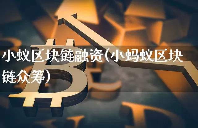小蚁区块链融资(小蚂蚁区块链众筹)_https://www.xjzxxn66.com_币圈资讯_第1张