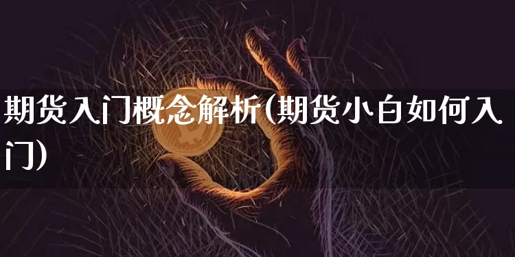 期货入门概念解析(期货小白如何入门)_https://www.xjzxxn66.com_区块链_第1张