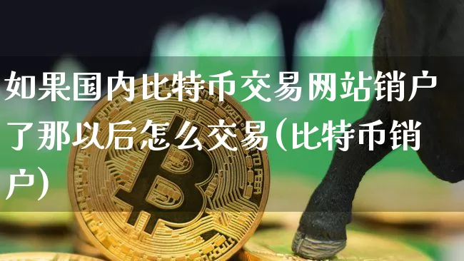 如果国内比特币交易网站销户了那以后怎么交易(比特币销户)_https://www.xjzxxn66.com_币圈资讯_第1张