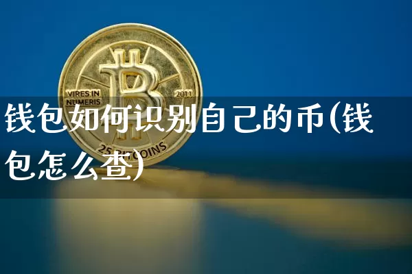 钱包如何识别自己的币(钱包怎么查)_https://www.xjzxxn66.com_币圈资讯_第1张