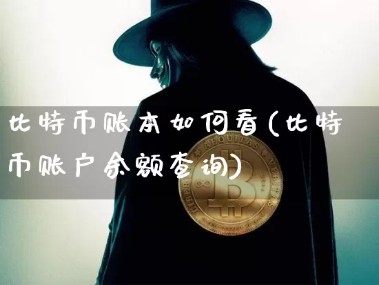 比特币账本如何看(比特币账户余额查询)_https://www.xjzxxn66.com_比特币_第1张