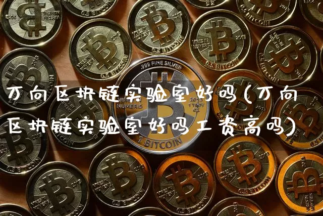万向区块链实验室好吗(万向区块链实验室好吗工资高吗)_https://www.xjzxxn66.com_区块链_第1张