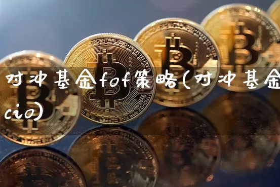 对冲基金fof策略(对冲基金cio)_https://www.xjzxxn66.com_币圈资讯_第1张