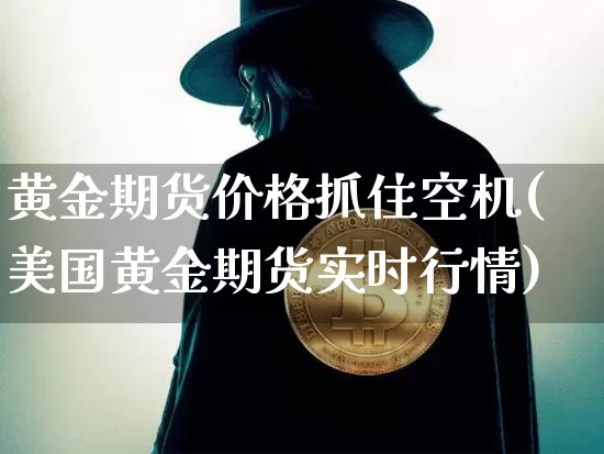 黄金期货价格抓住空机(美国黄金期货实时行情)_https://www.xjzxxn66.com_未分类_第1张