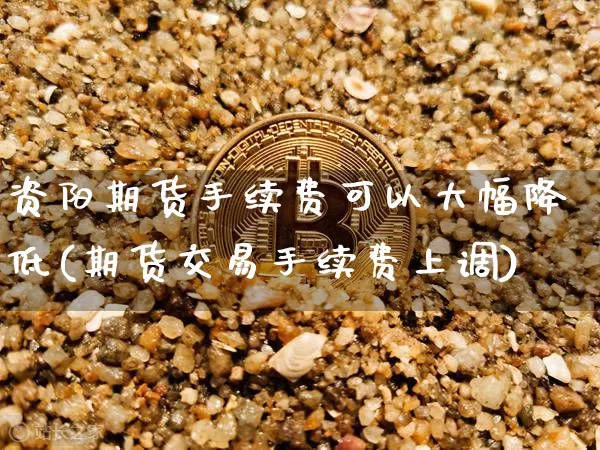 资阳期货手续费可以大幅降低(期货交易手续费上调)_https://www.xjzxxn66.com_币圈资讯_第1张
