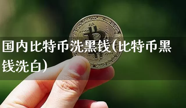 国内比特币洗黑钱(比特币黑钱洗白)_https://www.xjzxxn66.com_以太坊_第1张