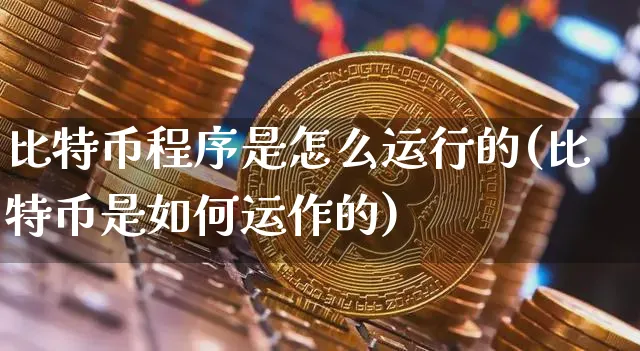 比特币程序是怎么运行的(比特币是如何运作的)_https://www.xjzxxn66.com_币圈资讯_第1张