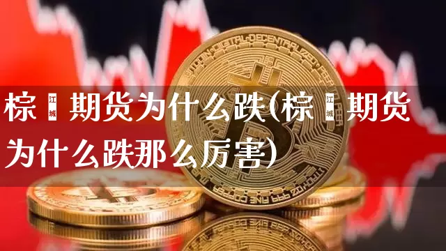 棕榈期货为什么跌(棕榈期货为什么跌那么厉害)_https://www.xjzxxn66.com_币圈资讯_第1张
