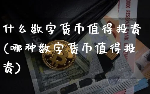什么数字货币值得投资(哪种数字货币值得投资)_https://www.xjzxxn66.com_币圈资讯_第1张