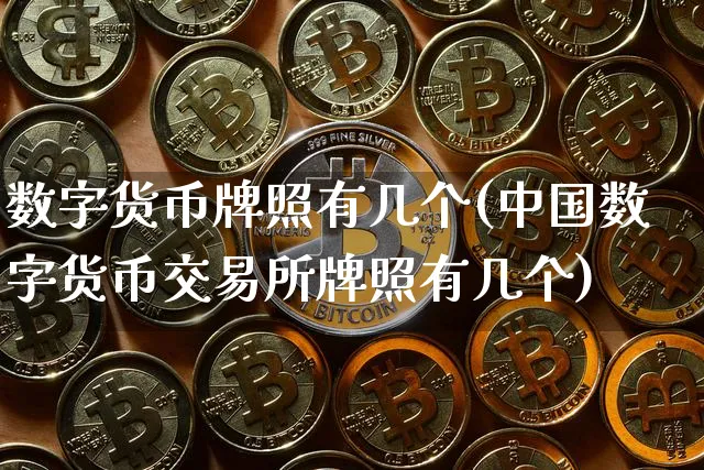 数字货币有几个(中国数字货币交易所有几个)_https://www.xjzxxn66.com_币圈资讯_第1张